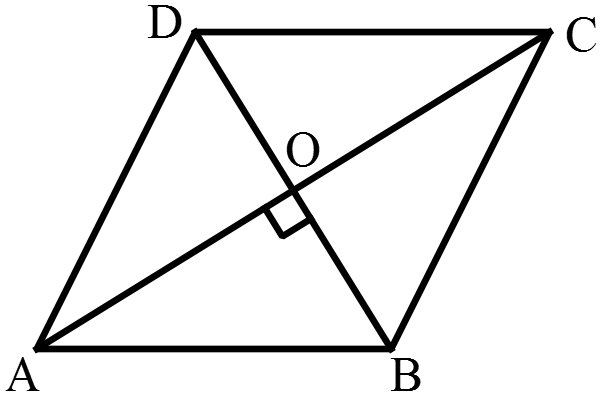 Area mcq solution image Area mcq solution image
